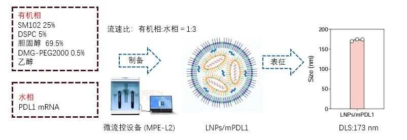 通过脂质纳米粒递送编码PD-L1的mRNA在体内生成致耐受性抗原呈递细胞