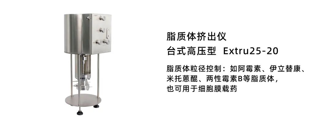 9!!!仿生脂质体靶向非小细胞肺癌：调控微环境增强疗效