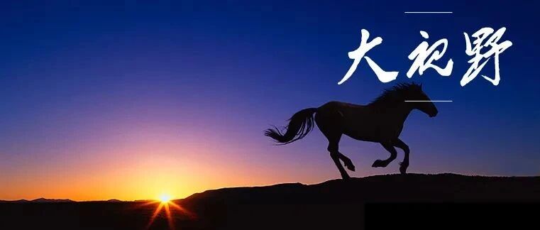 现代化启示录：我从潍坊学到了什么？|| 大视野