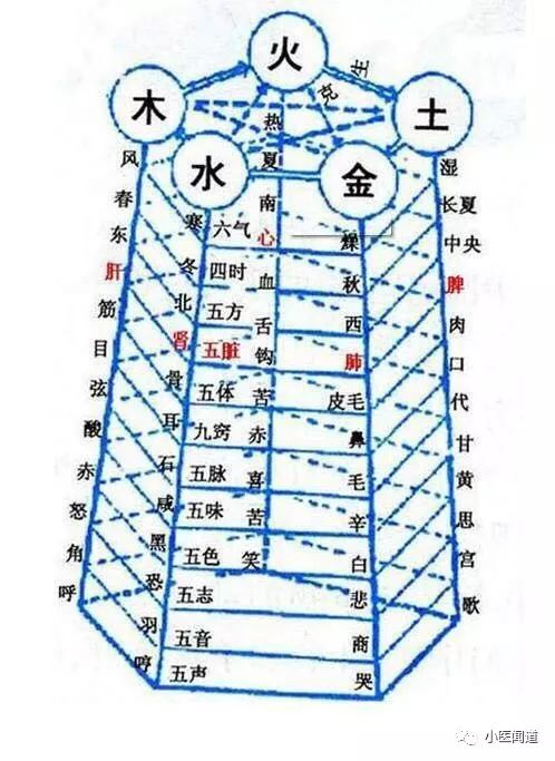 中医五脏阴阳辩证与六经三阴三阳辩证