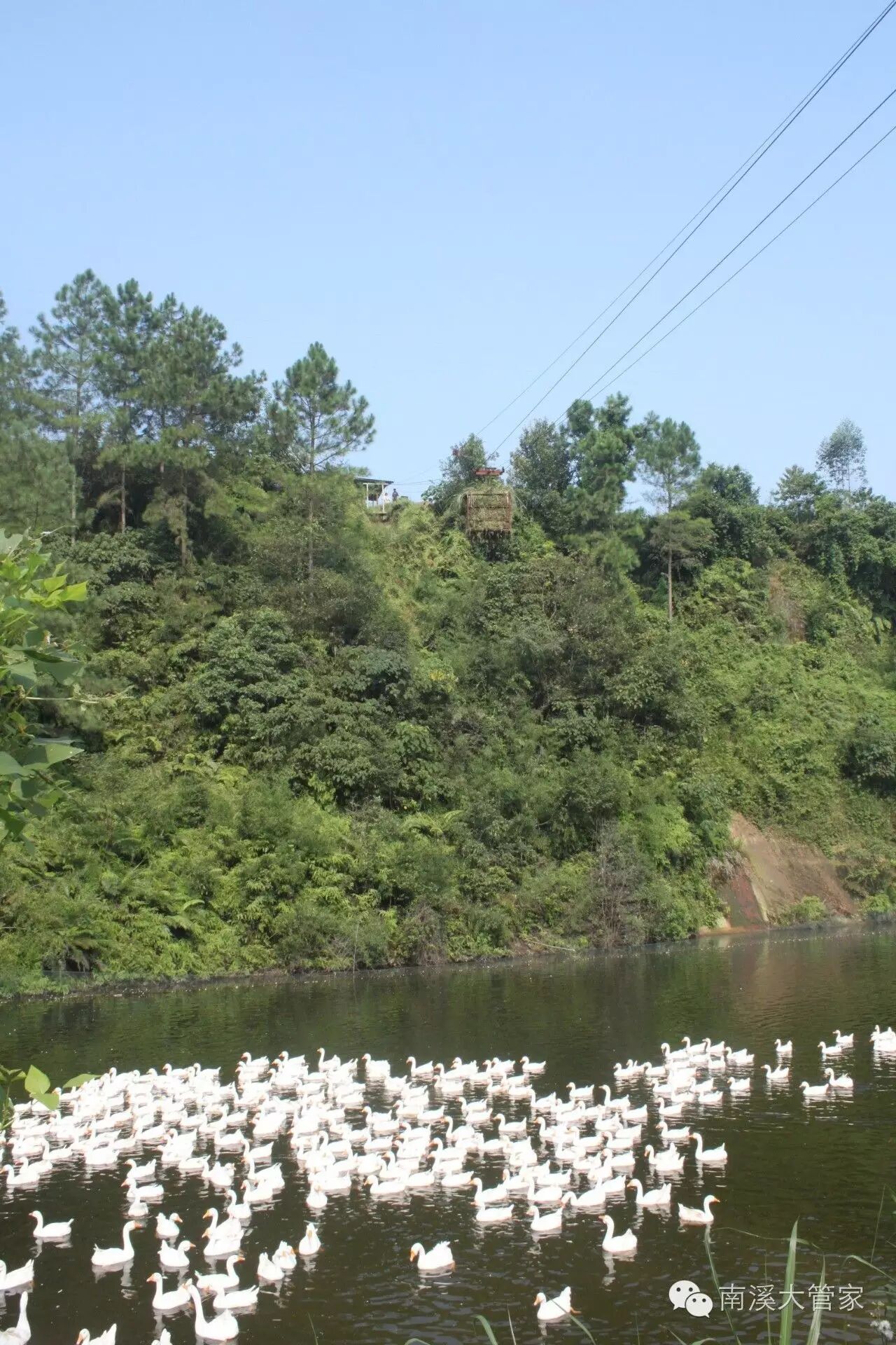 南溪汪家镇这个男人干的事,惊动中,省,市,区各类媒体前往.