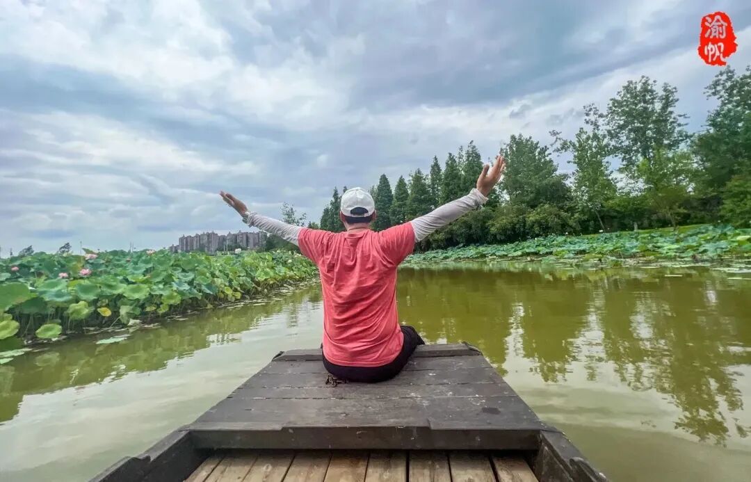 莲花荷花的寓意是什么_荷花与莲花有什么区别_莲花和荷花