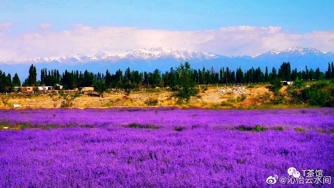 禾木村自驾游_禾木村游记作文_禾木村旅游攻略