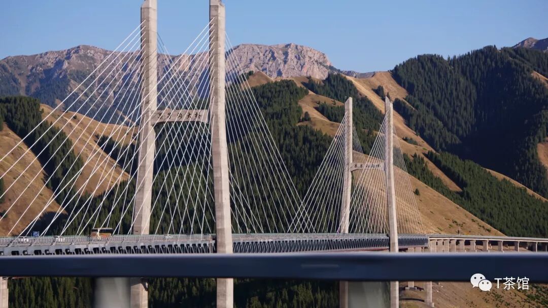 禾木村自驾游_禾木村旅游攻略_禾木村游记作文