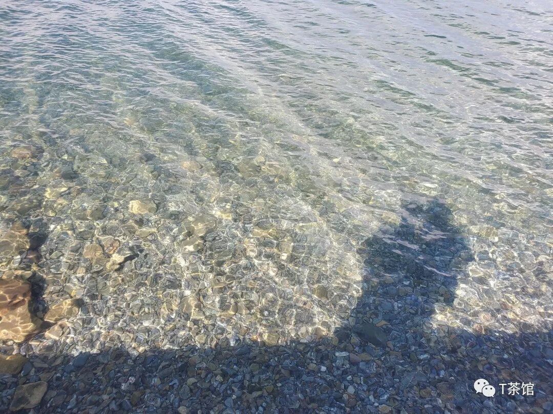 禾木村自驾游_禾木村旅游攻略_禾木村游记作文