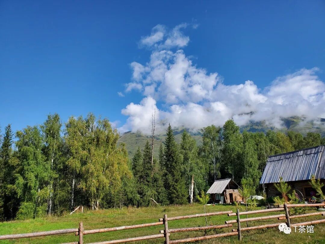 禾木村自驾游_禾木村游记作文_禾木村旅游攻略