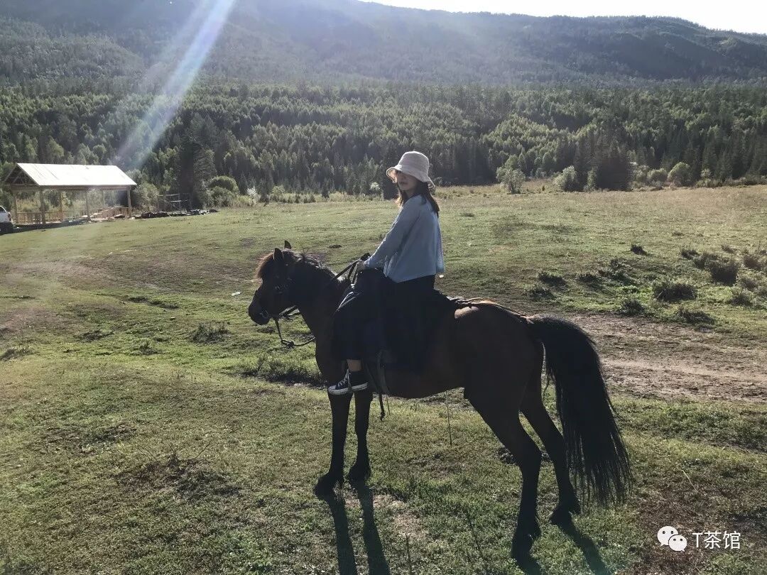 禾木村游记作文_禾木村自驾游_禾木村旅游攻略