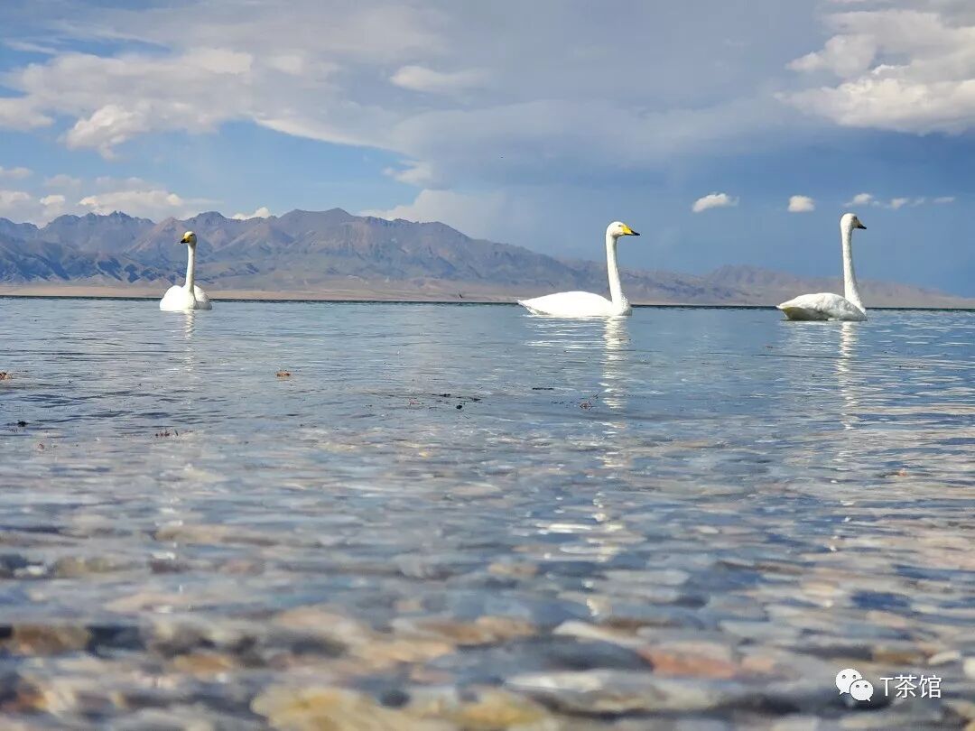 禾木村游记作文_禾木村自驾游_禾木村旅游攻略
