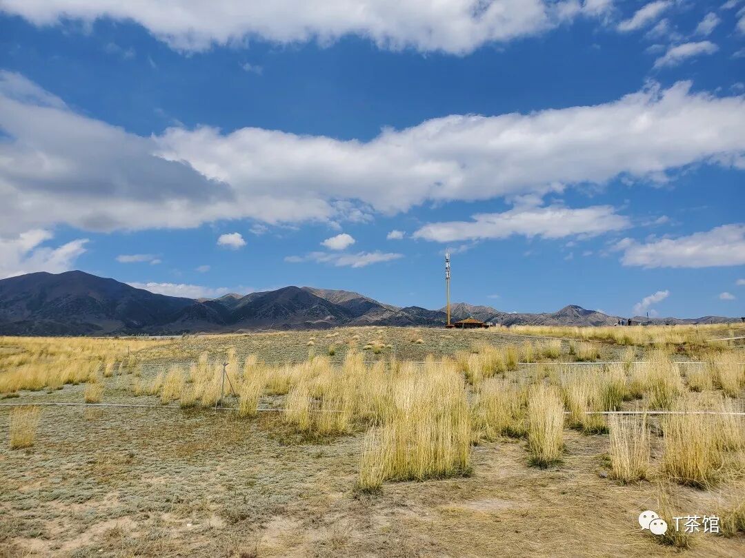 禾木村游记作文_禾木村旅游攻略_禾木村自驾游