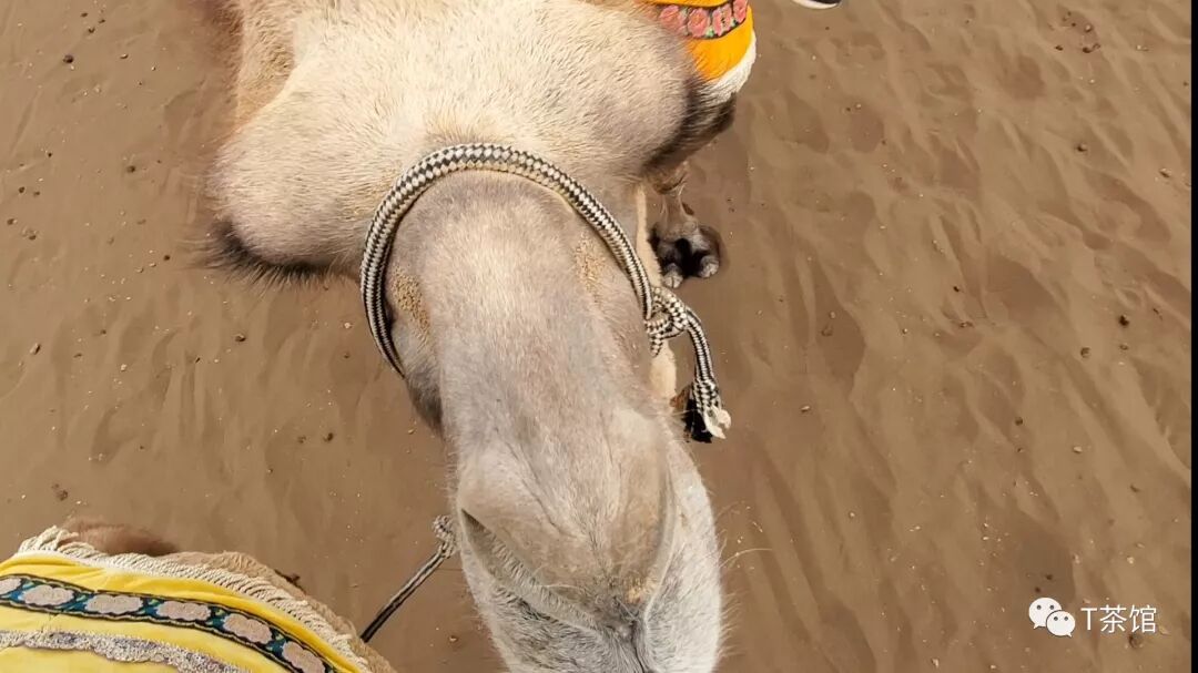 禾木村游记作文_禾木村旅游攻略_禾木村自驾游