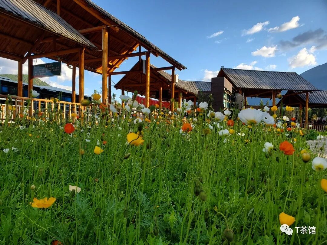禾木村旅游攻略_禾木村自驾游_禾木村游记作文