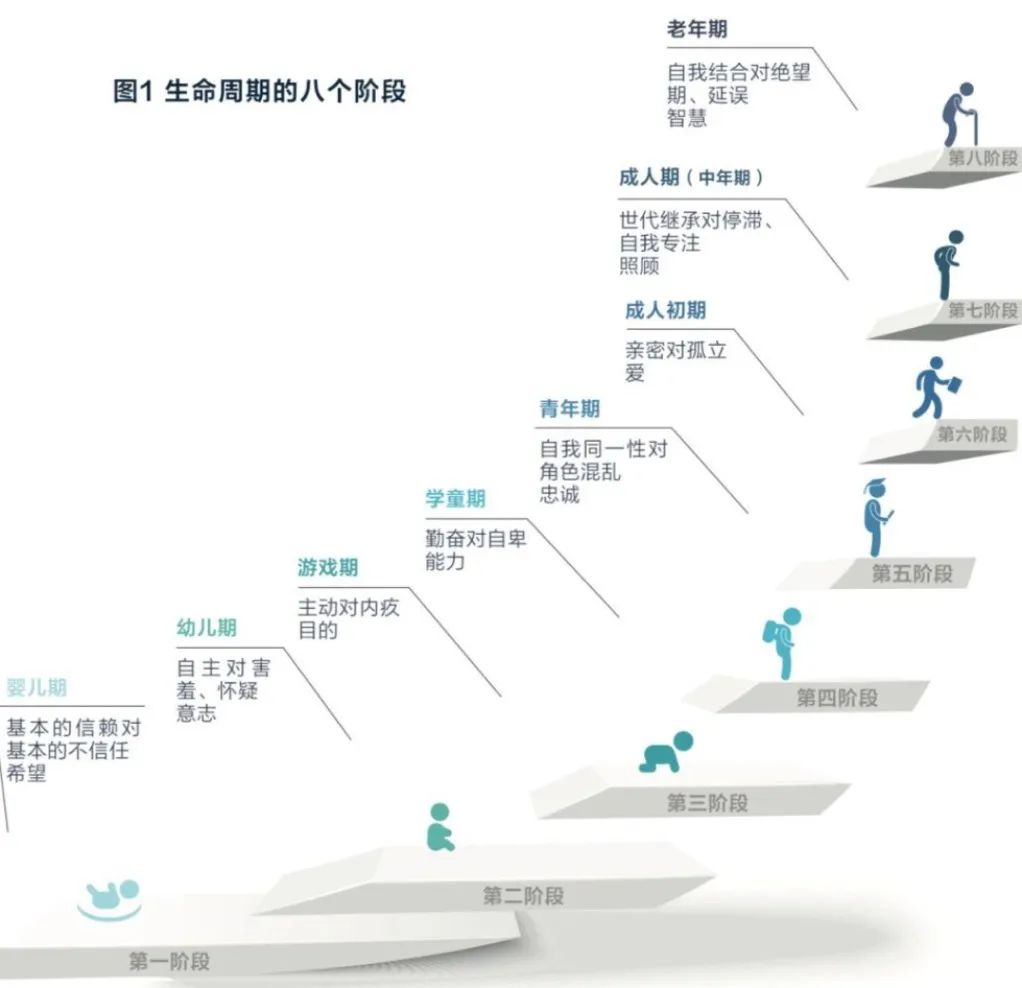 个人生命周期六个阶段图片