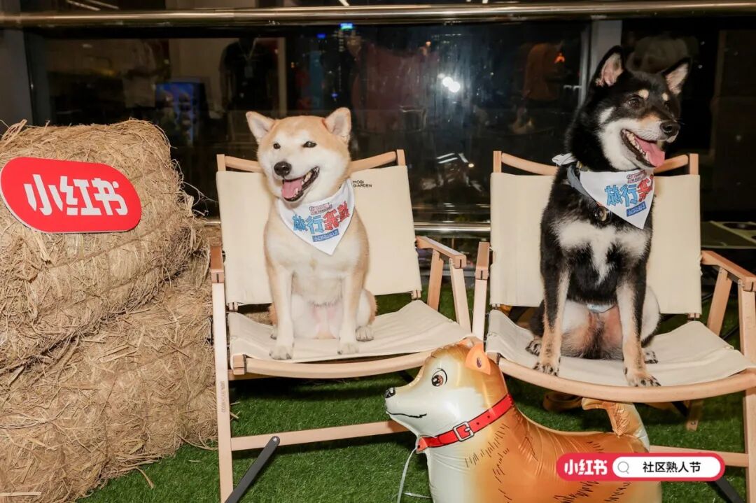案例丨小红书社区熟人节第二届还是我们做的-广告人干货库