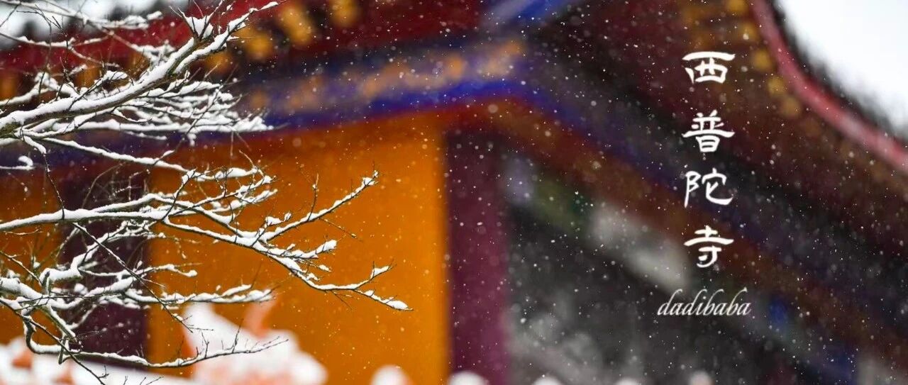 绝美！今冬初雪，贵阳最美的雪景在这个“故宫”里！一眼，穿越千年……