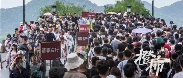 排队5小时就玩2分钟!有人在车上闲得开始数树叶……一景区发布红色预警!