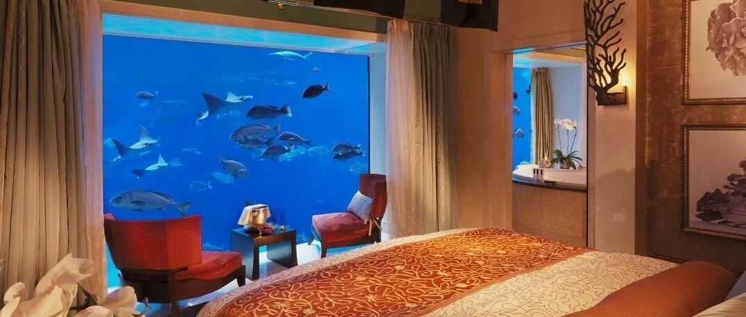 有一天，住在如梦似幻的海洋世界...