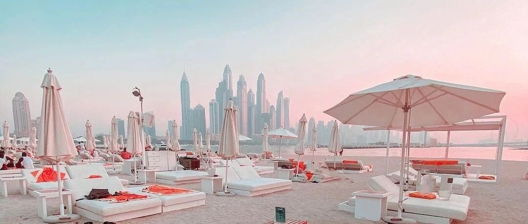 棕榈岛“树干”上的新风景