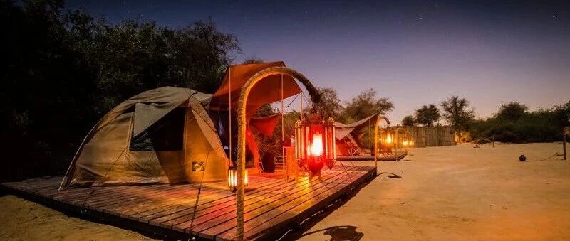 迪拜沙漠干饭姿势