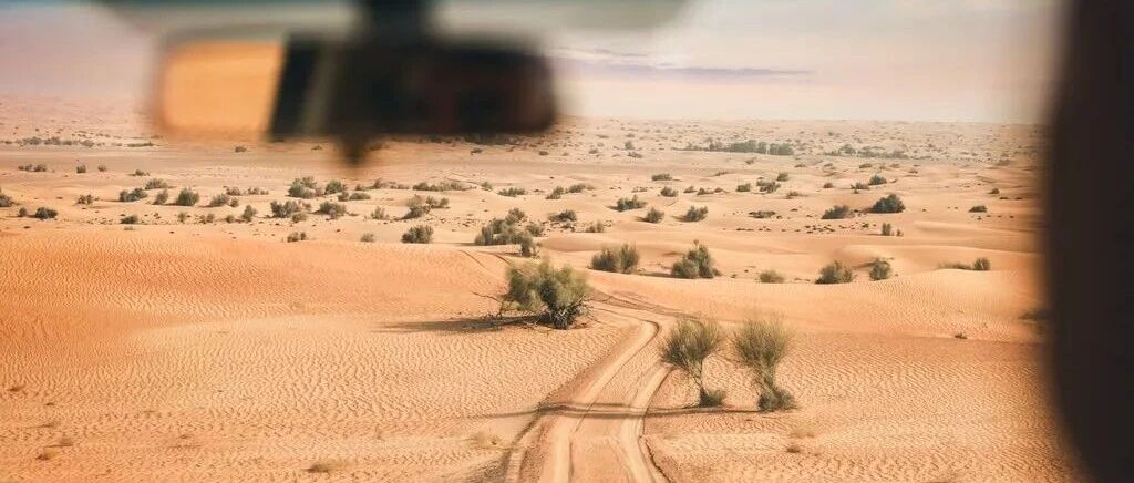 你眼里进了沙……