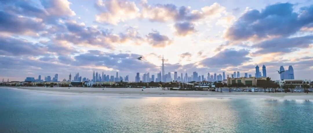 世界岛来了新客人！