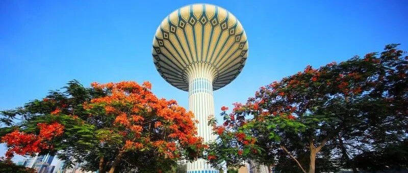 又又又挖到一个“宝”