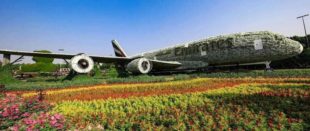 11月，Ta也回来啦~