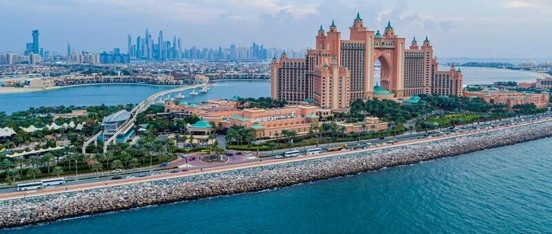 海风习习，棕榈景如画