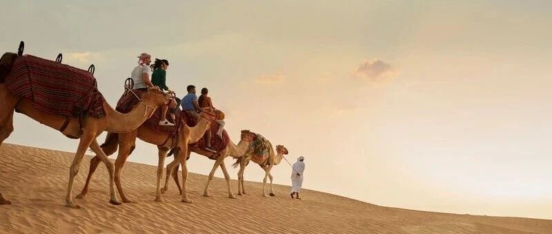 骆驼还有自己的博物馆？！