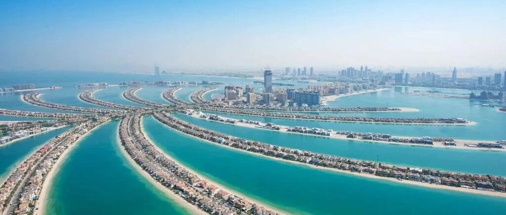 朱美拉棕榈岛上最长的泳池在哪？