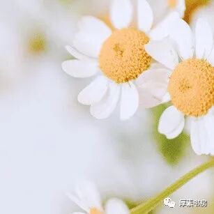 品读 老子 像风一样 全网搜