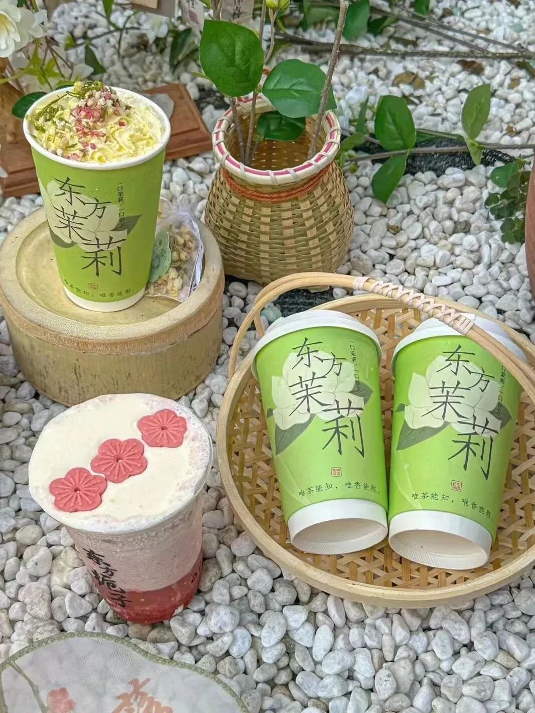 双花茉莉全新亮相或将引爆花香系春夏新品