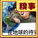 打工人哪有不疯的啊啊啊啊啊！！！｜糗事