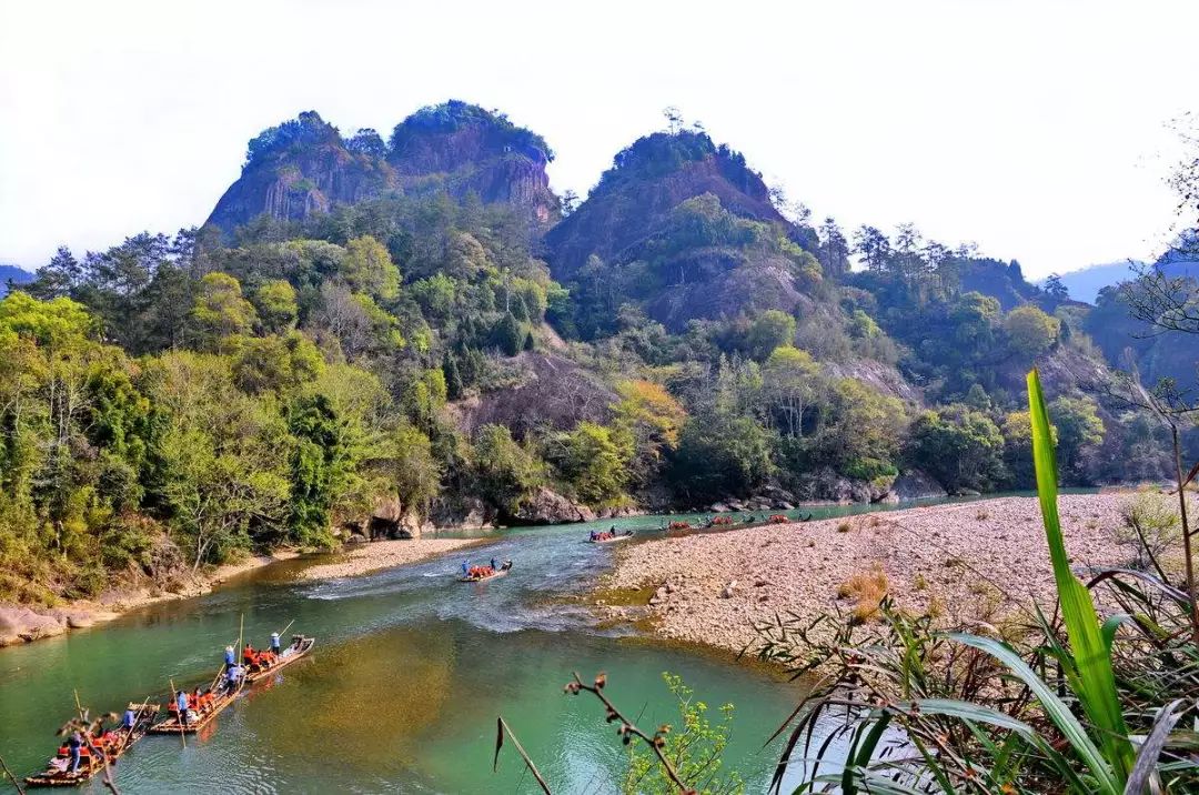 名山出名茶——武夷岩茶