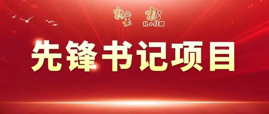 提炼优质校项目建设经验_优质校建设方案_优质学校建设的实践与思考