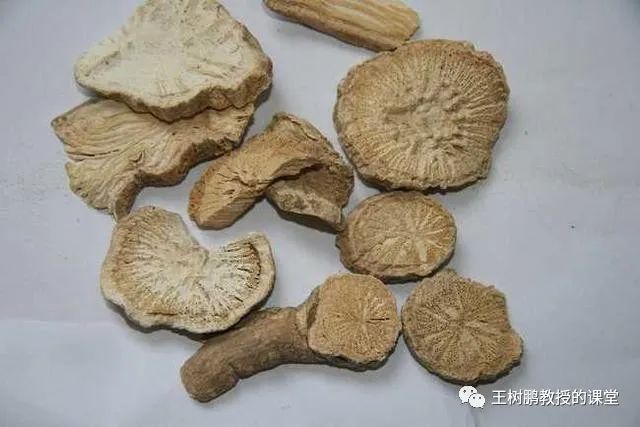 葶苈大枣泻肺汤治疗肺癌胸腔积液，泻肺法痰、利水平喘