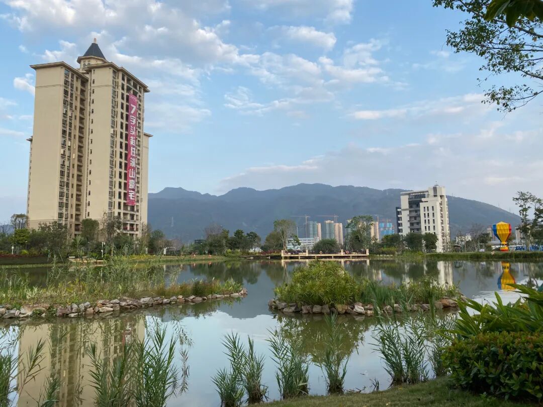 敏捷水映澜山肇庆人疫情下你有过这样的生活吗