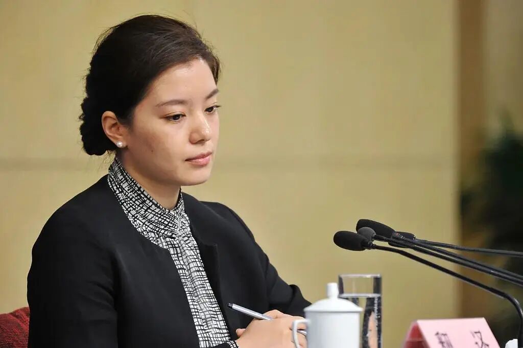 中国最美女翻译出圈来看看翻译大神的成名之路