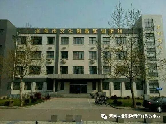 河南林业职业技术学院好吗_河南林业职业学院校风怎么样_河南科技大学林业职业学院