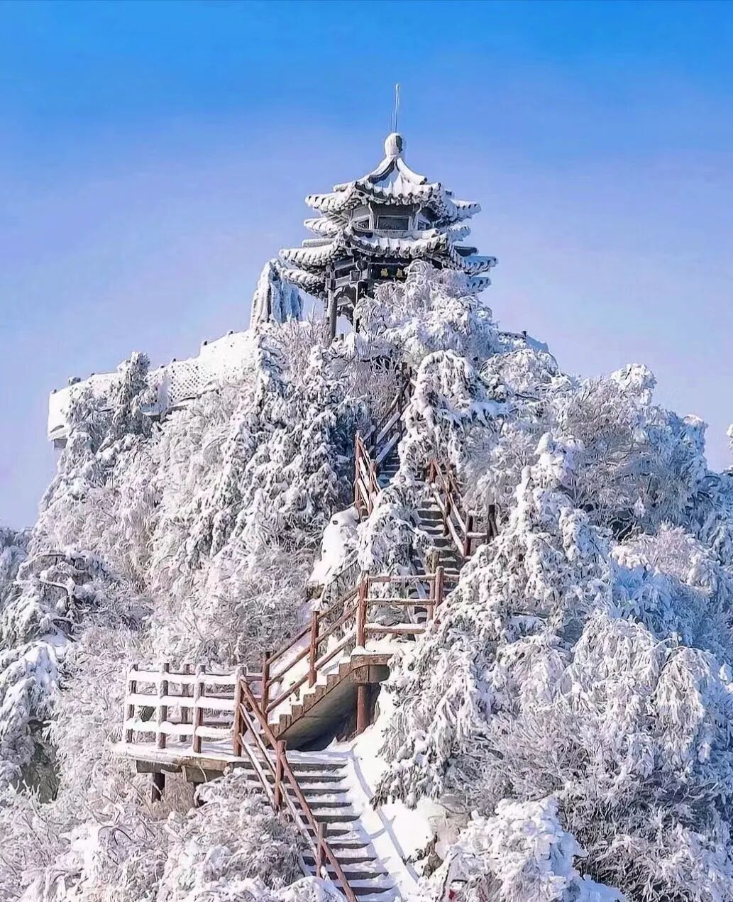 去洛阳了实用攻略拿走不谢