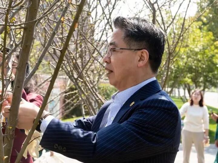 春风十里，正“植”有你——创新创业中心成立一周年回顾