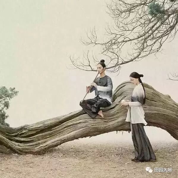 李煜是哪个朝代的_李煜是什么代的_李煜是什么朝代人