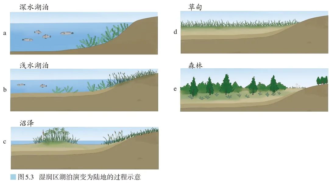 高清图库｜高中地理全套无码高清图片素材，收藏备用-图229