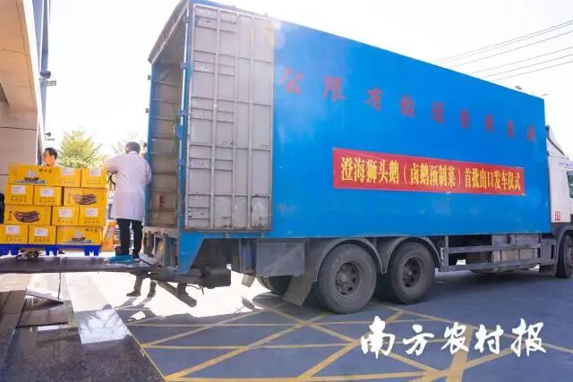 南方农村报 郑建斯 拍摄 图片