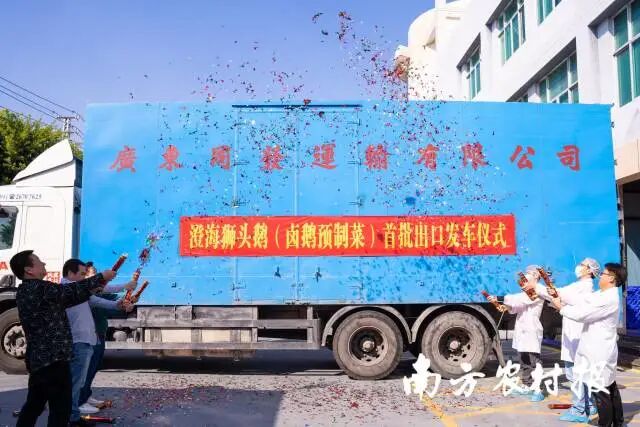 澄海狮头鹅(卤鹅预制菜)首批出口发车仪式 南方农村报 郑建斯 拍摄 图片