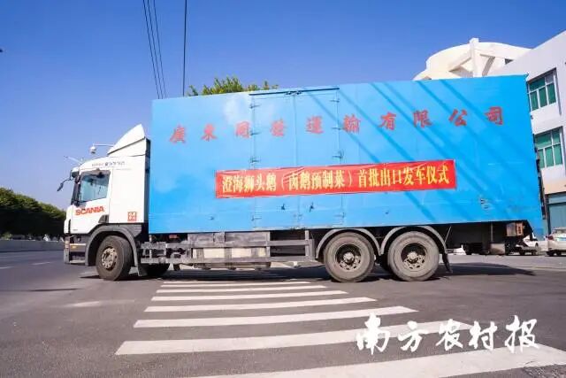 澄海狮头鹅(卤鹅预制菜)首批出口发车仪式 南方农村报 郑建斯 拍摄 图片