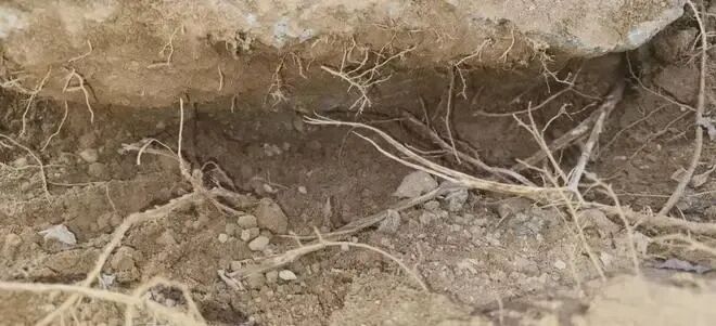 多处底座未遵循标准工艺进行整体钢筋混凝土浇筑