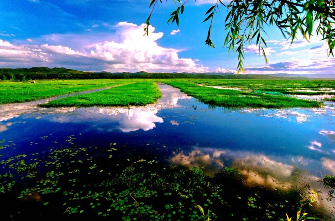 打开毕节三大名片之"威宁草海"