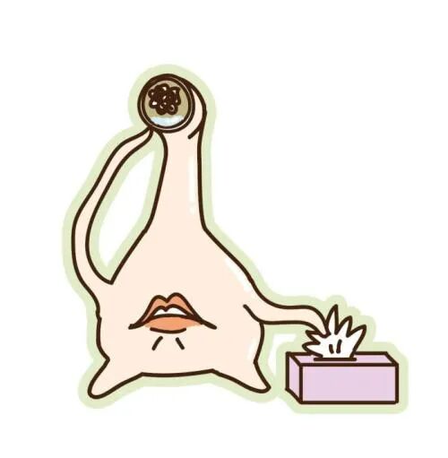 带飞机杯过安检会发生什么情况带飞机杯过安检会发生什么？4