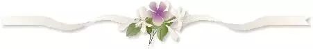 文艺小清新紫色小花彩带飘逸分割线 图片