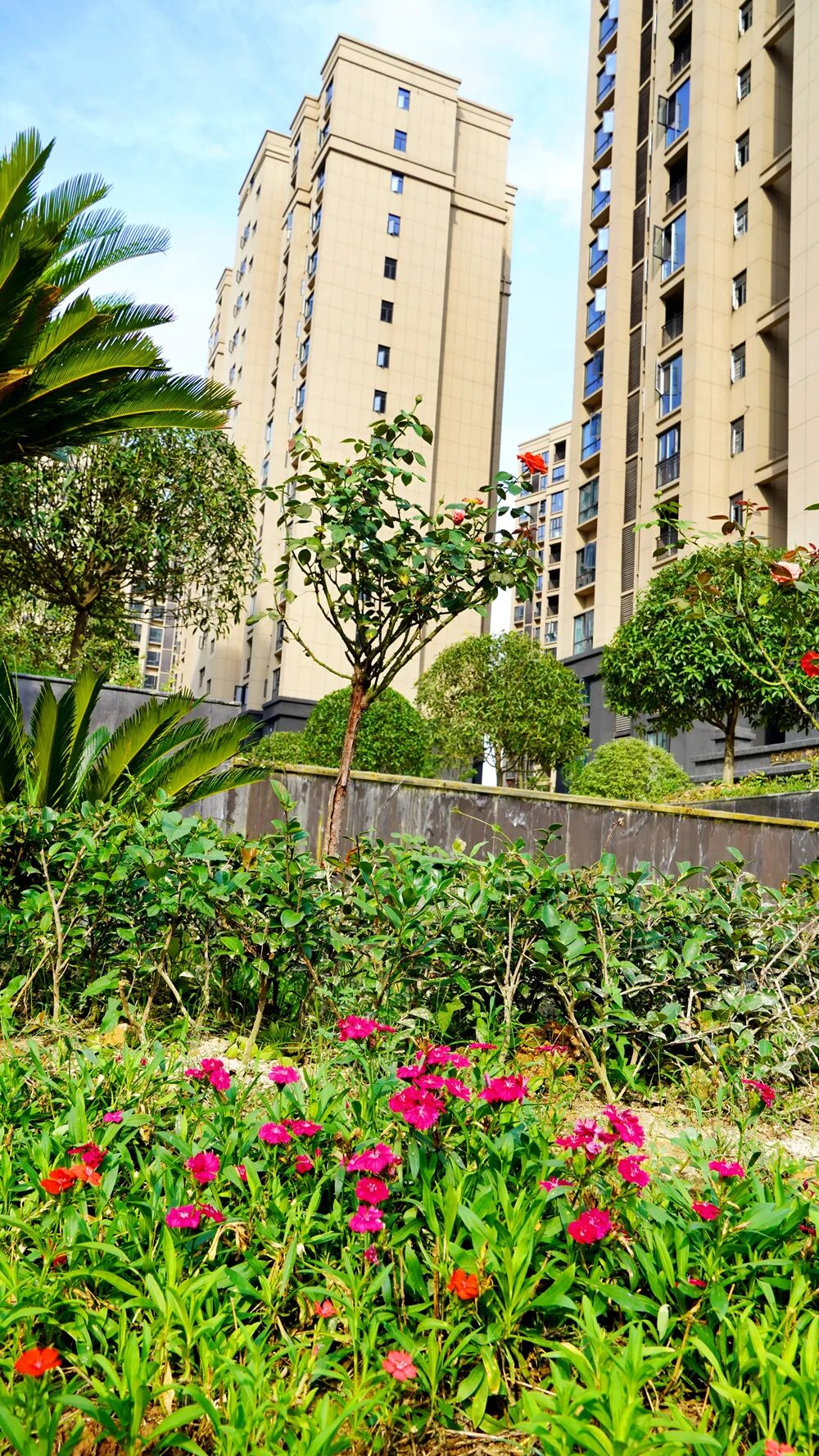 东方绿洲距离高铁站仅8分钟车程属于当阳高铁第一盘距离高铁愈近,周边